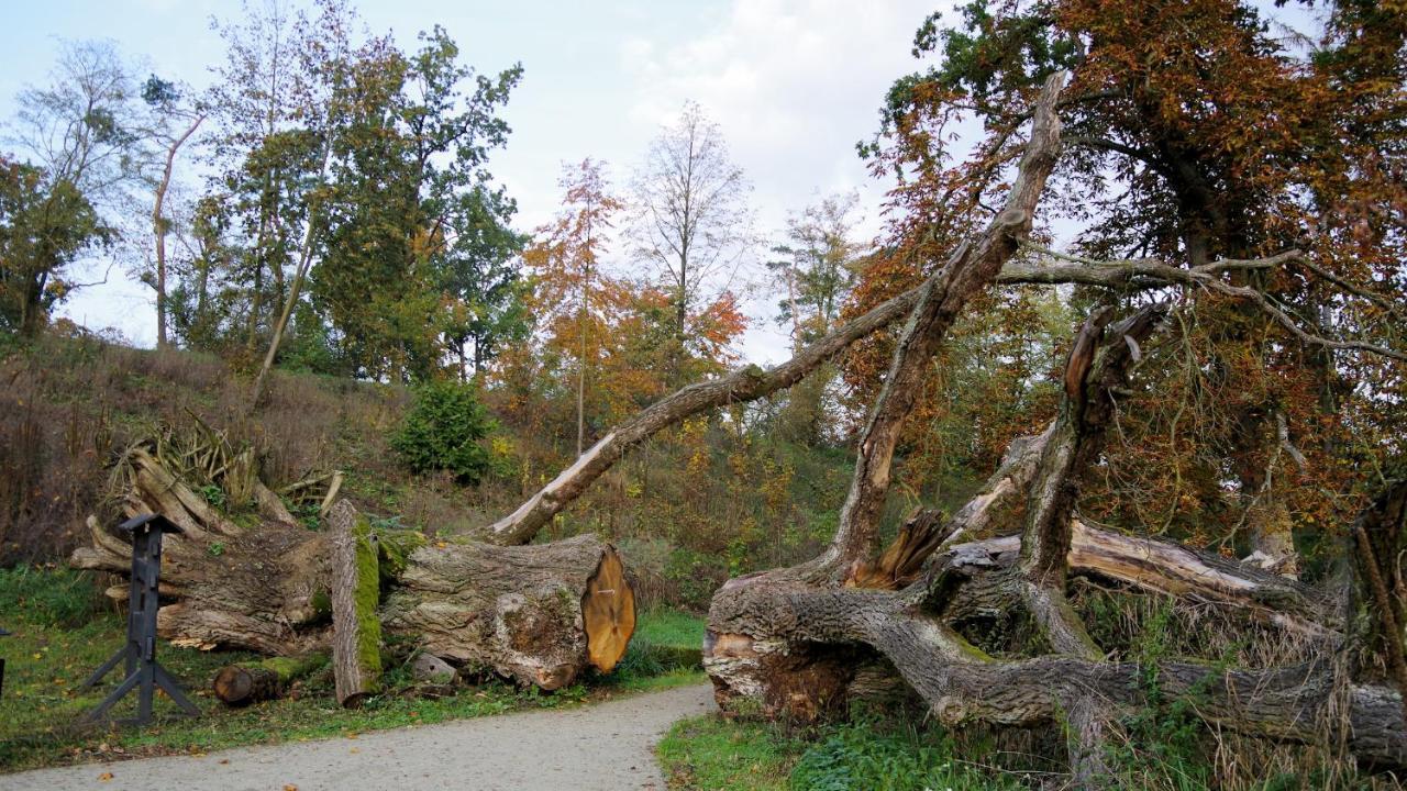 Palac Komierowo Sępólno Krajeńskie Buitenkant foto